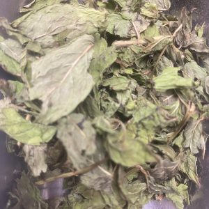 Menthe verte